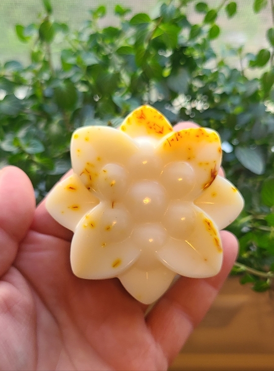 Earthen Apothecary Other - Handcrafted Unscented Face Soap Bar